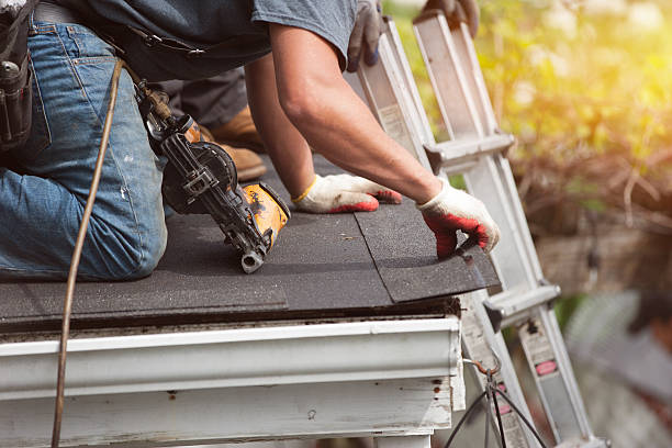 Best Roof Gutter Cleaning  in Prospect, PA